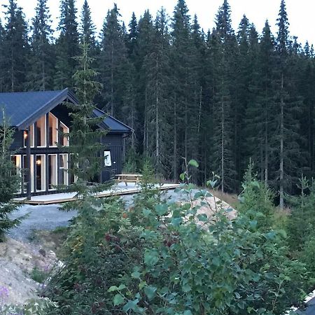 Lillebjørn Villa Trysil Eksteriør bilde