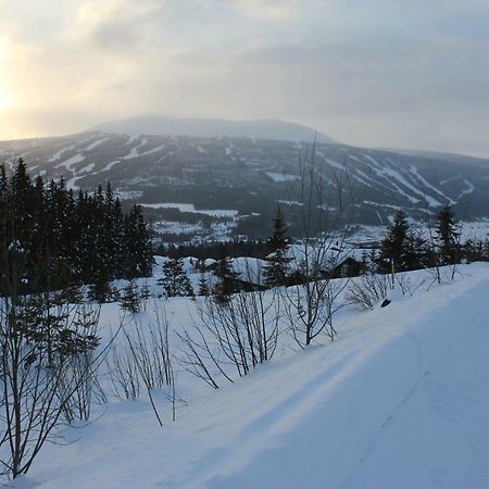 Lillebjørn Villa Trysil Eksteriør bilde
