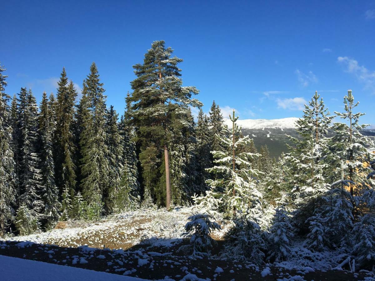 Lillebjørn Villa Trysil Eksteriør bilde