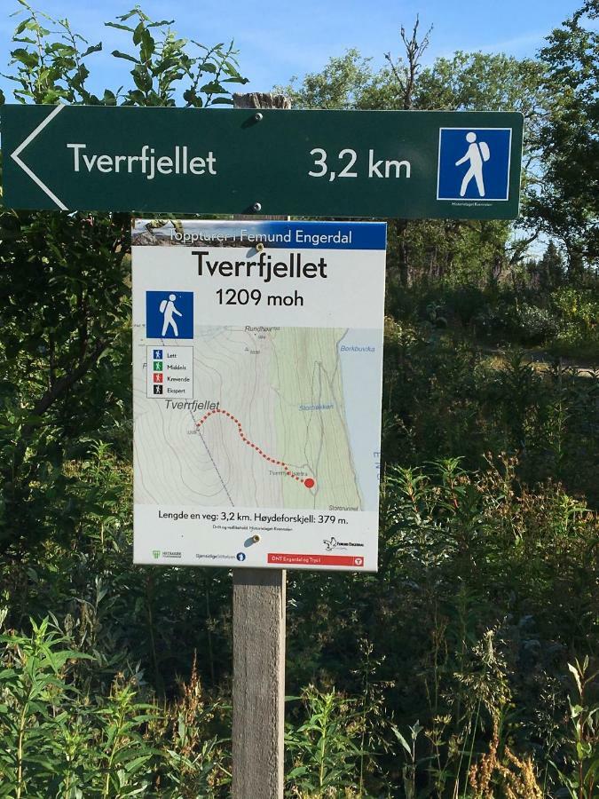 Lillebjørn Villa Trysil Eksteriør bilde